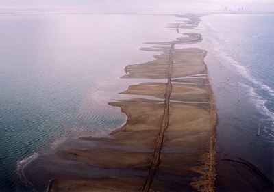 c6.jpg