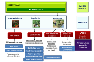 Valoracion economica